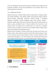 Verslo idėja - pristatymas į namus 13 puslapis