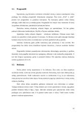 Verslo idėja - pristatymas į namus 14 puslapis