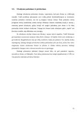 Verslo idėja - pristatymas į namus 15 puslapis