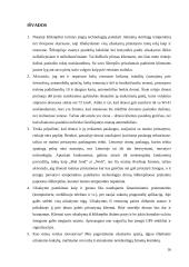 Verslo idėja - pristatymas į namus 16 puslapis