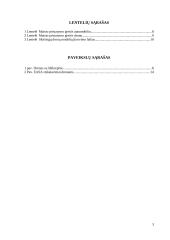 Verslo idėja - pristatymas į namus 3 puslapis