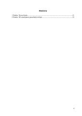 Verslo idėja - pristatymas į namus 4 puslapis