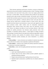 Verslo idėja - pristatymas į namus 5 puslapis