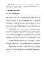 Verslo idėja - pristatymas į namus 6 puslapis