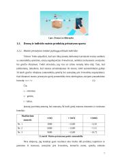 Verslo idėja - pristatymas į namus 7 puslapis