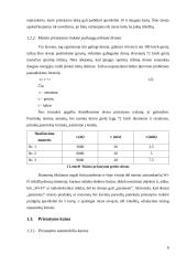 Verslo idėja - pristatymas į namus 8 puslapis