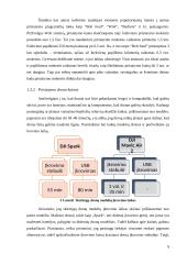 Verslo idėja - pristatymas į namus 9 puslapis