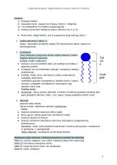 Organiniai junginiai, angliavandenių savybės, atstovai ir reikšmė 3 puslapis