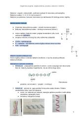 Organiniai junginiai, angliavandenių savybės, atstovai ir reikšmė 4 puslapis