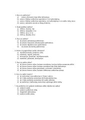 Baigiamasis audito darbas