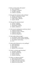 Baigiamasis audito darbas 2 puslapis