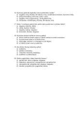 Baigiamasis audito darbas 3 puslapis