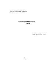 Baigiamasis audito darbas 5 puslapis