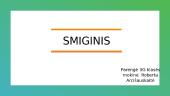 Smiginis ir smiginio taisyklės