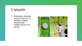 Smiginis ir smiginio taisyklės 2 puslapis