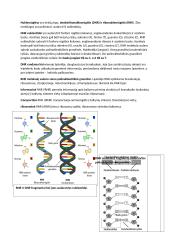 Lipidai, angliavandeniai, nukleorūgštys, baltymai  2 puslapis