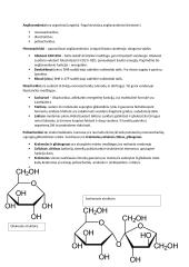 Lipidai, angliavandeniai, nukleorūgštys, baltymai  3 puslapis