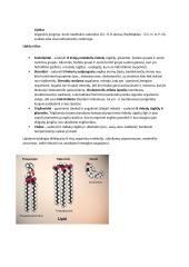 Lipidai, angliavandeniai, nukleorūgštys, baltymai  4 puslapis