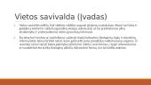 Vietos savivaldos institutas pagal Lietuvos įstatymus 3 puslapis