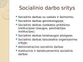 Socialinis darbas, jo pagrindai  2 puslapis