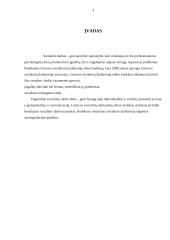 Socialinio darbuotojo etikos kodekso analizė 3 puslapis