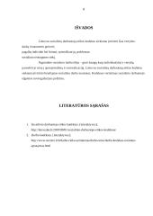 Socialinio darbuotojo etikos kodekso analizė 8 puslapis