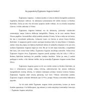 Ką papasakotų Žygimanto Augusto krėslas?