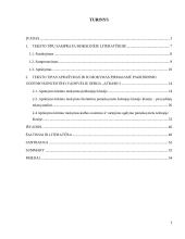 Teksto tipas, aprašymas ir jo mokymas(is) progimnazijoje  2 puslapis