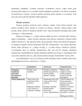 Teksto tipas, aprašymas ir jo mokymas(is) progimnazijoje  12 puslapis