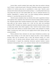 Teksto tipas, aprašymas ir jo mokymas(is) progimnazijoje  16 puslapis