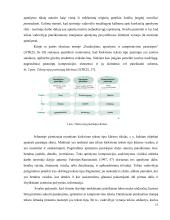 Teksto tipas, aprašymas ir jo mokymas(is) progimnazijoje  17 puslapis