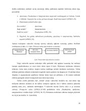 Teksto tipas, aprašymas ir jo mokymas(is) progimnazijoje  18 puslapis