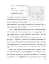 Teksto tipas, aprašymas ir jo mokymas(is) progimnazijoje  20 puslapis