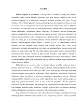 Teksto tipas, aprašymas ir jo mokymas(is) progimnazijoje  3 puslapis