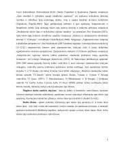 Teksto tipas, aprašymas ir jo mokymas(is) progimnazijoje  4 puslapis