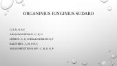 Organinės medžiagos - angliavandeniai 3 puslapis