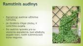 Gyvūnų audiniai 14 puslapis