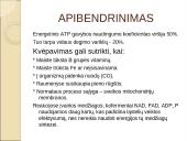 Viduląstelinis kvėpavimas  11 puslapis