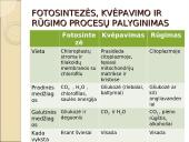 Viduląstelinis kvėpavimas  17 puslapis