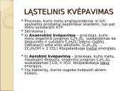 Viduląstelinis kvėpavimas  4 puslapis