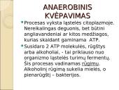 Viduląstelinis kvėpavimas  5 puslapis