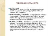 Viduląstelinis kvėpavimas  9 puslapis