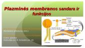 Plazminės membranos sandara ir funkcijos