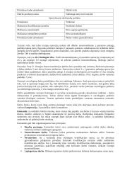 Gamybos vadybos paskaitų medžiaga 19 puslapis