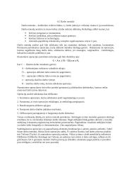 Gamybos vadybos paskaitų medžiaga 20 puslapis