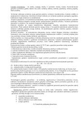 Gamybos vadybos paskaitų medžiaga 4 puslapis