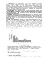 Gamybos vadybos paskaitų medžiaga 8 puslapis