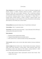 Taikomųjų tyrimų metodologija - tyrimo planas 2 puslapis