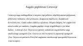 Vaistinių augalų įtaka sveikatai (paprastoji spanguolė) 7 puslapis