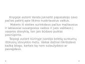 Knygos pristatymas - Vanda Juknaitė „Išsiduosi.Balsu” 5 puslapis